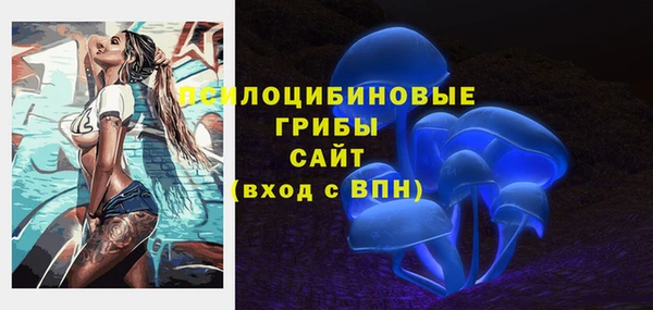 a pvp Алзамай